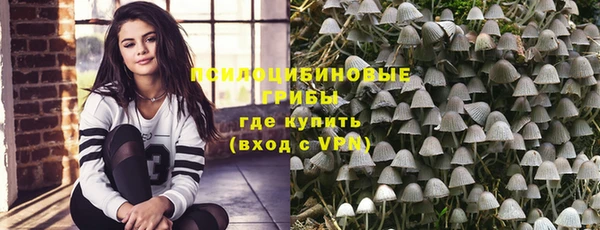 МДПВ Богданович