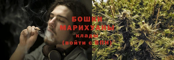 мдпв Богородицк