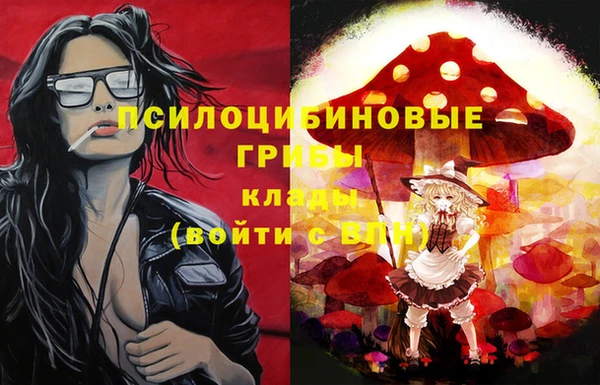 МДПВ Богданович