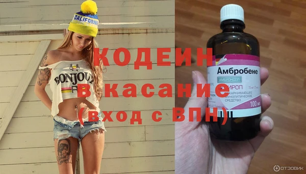 мдпв Богородицк