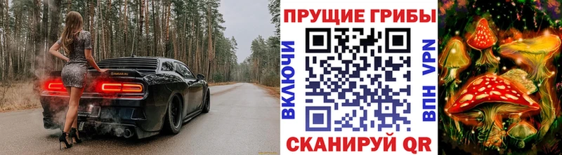Галлюциногенные грибы GOLDEN TEACHER  Томск 